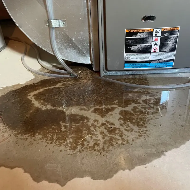 Pipe Burst and Leak Restoration in Granite, UT
