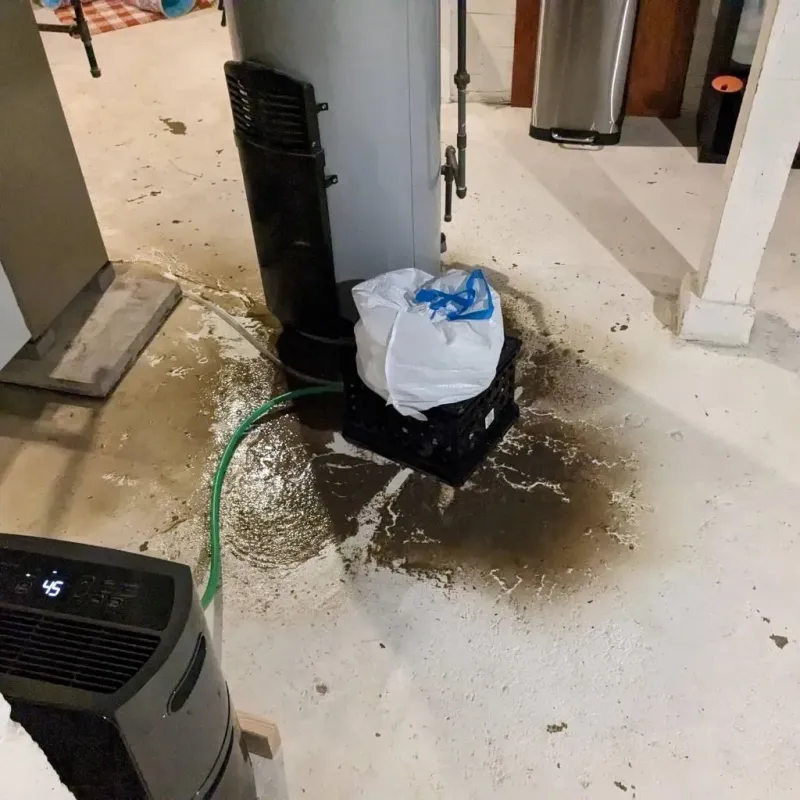 Sewage Backup Cleanup Service in Granite, UT